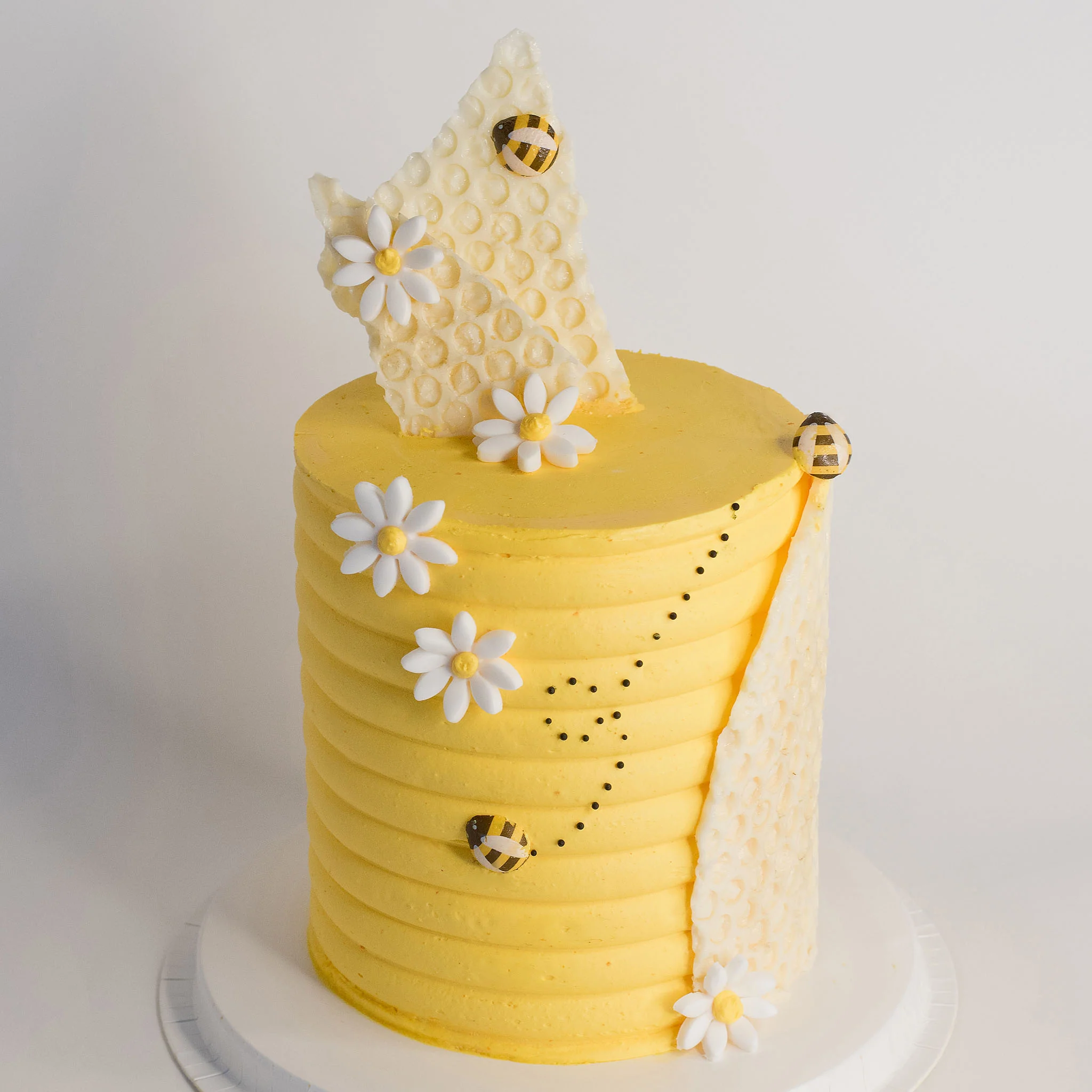 What will Baby Bee ??- Gender Reveal - Image 5