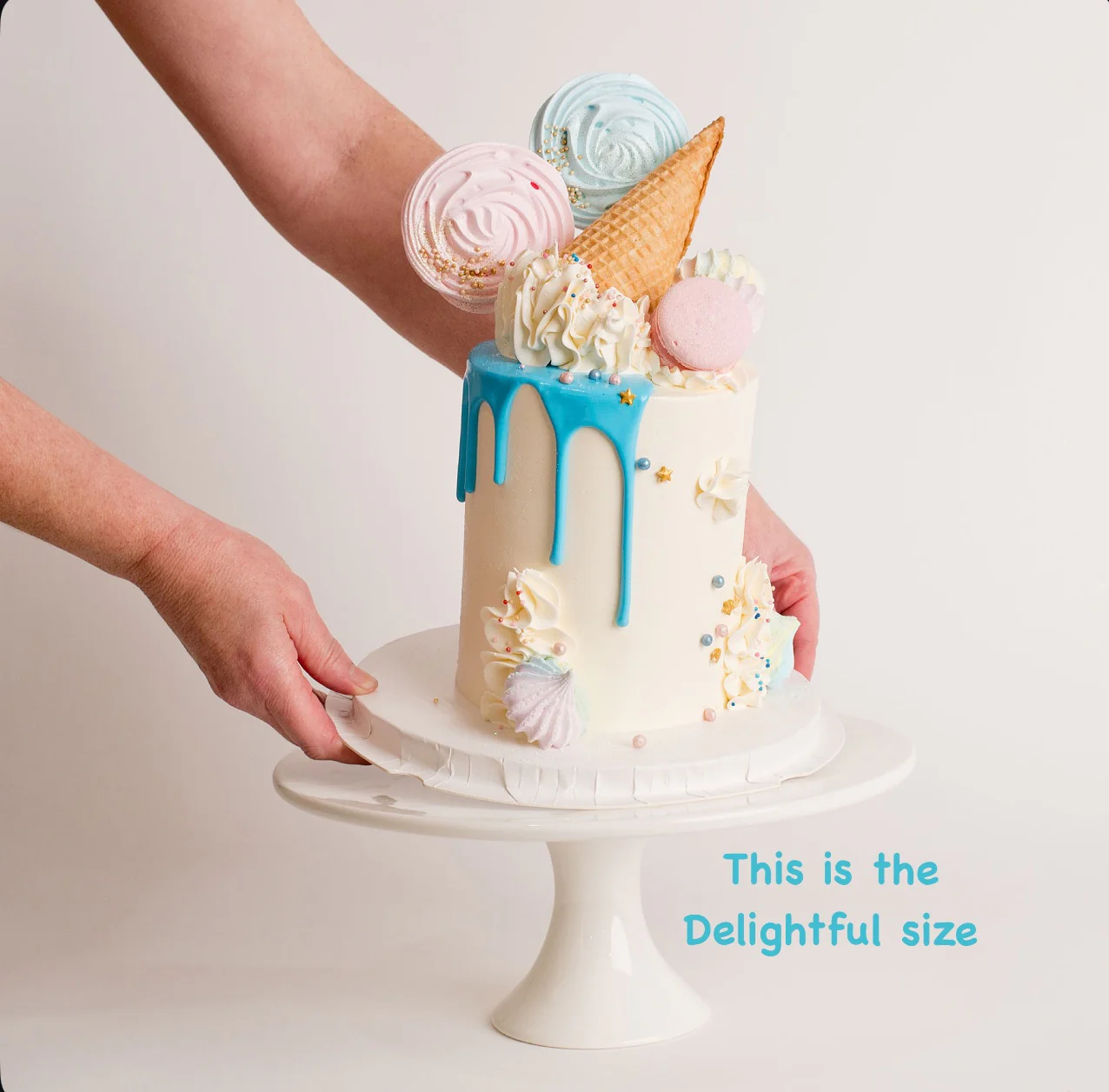 Pippy - Gender Reveal - Image 3