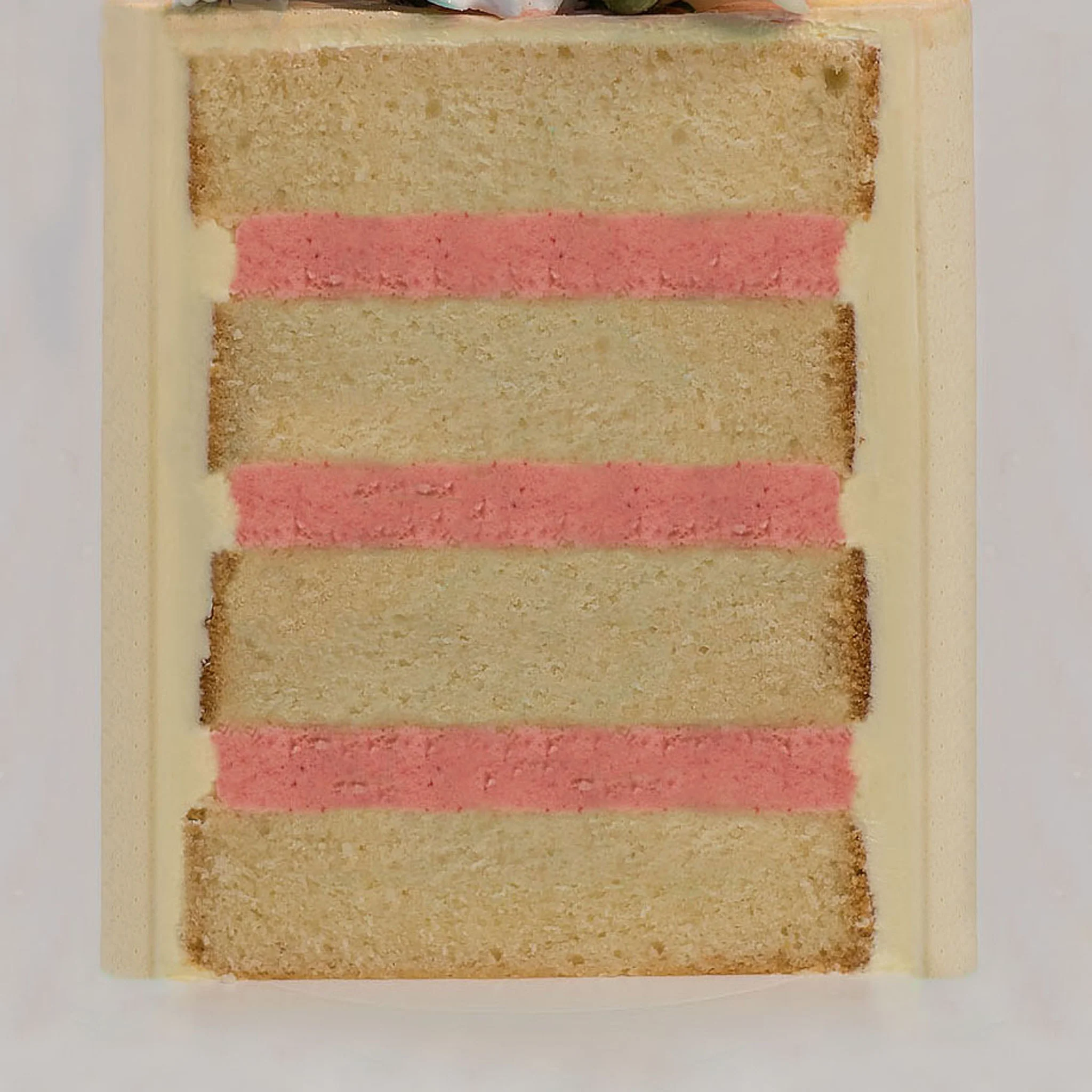 Pippy - Gender Reveal - Image 5