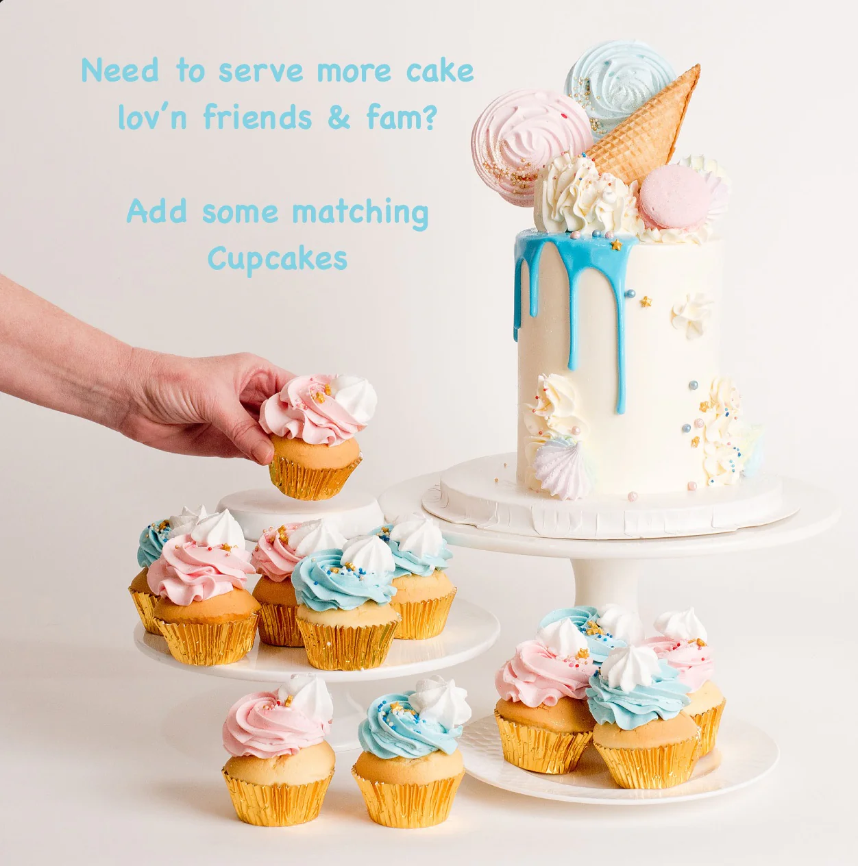 Pippy - Gender Reveal - Image 8