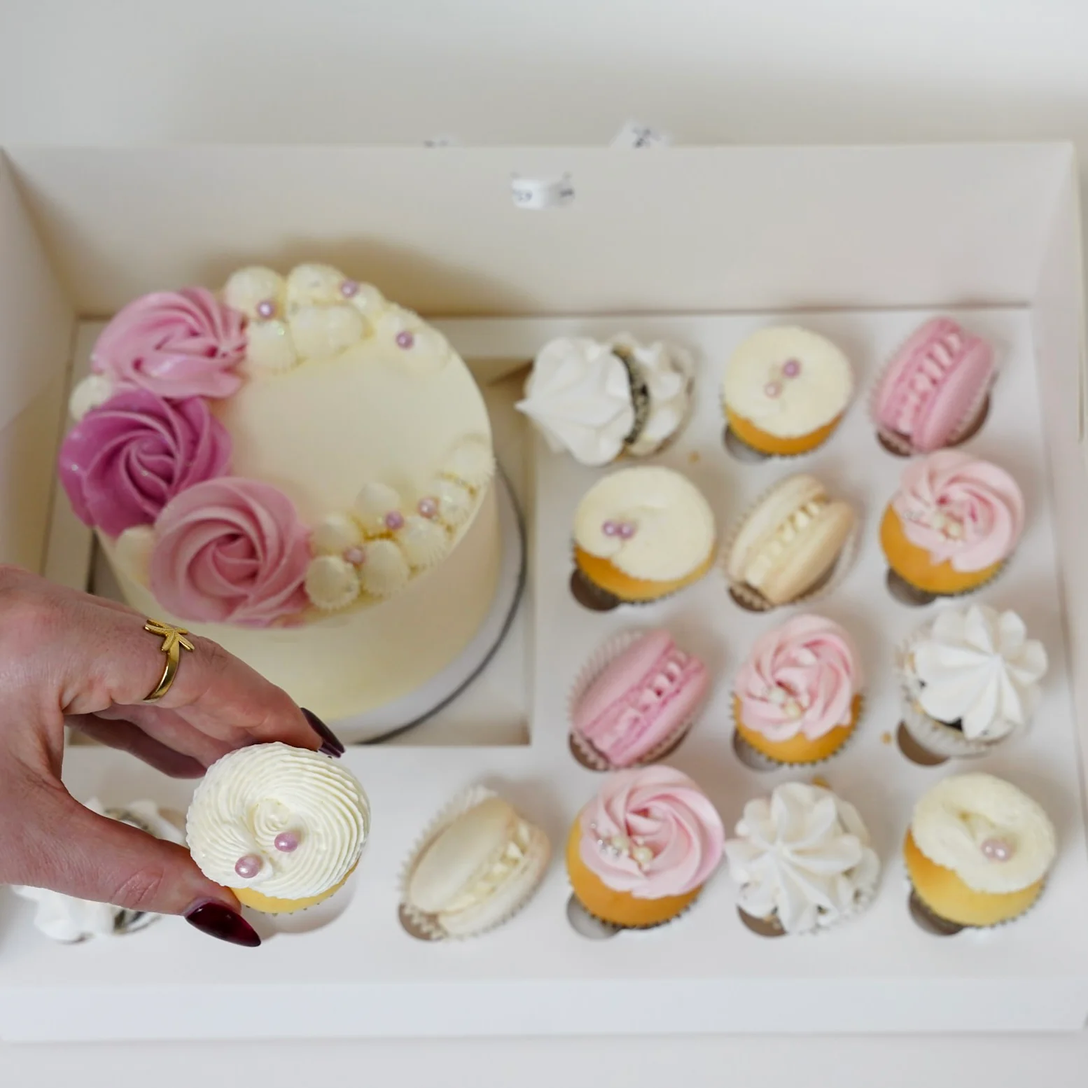 Cute Cake Pack - Mini Ava - Image 3