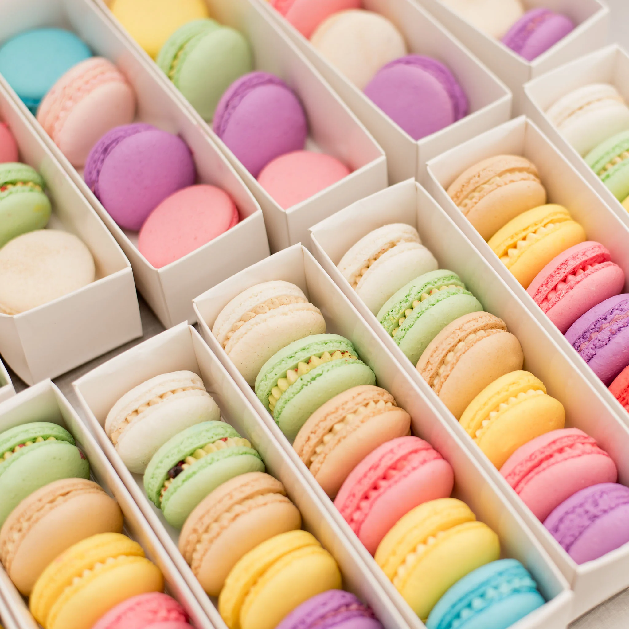 Macarons Gift Packs - Image 3