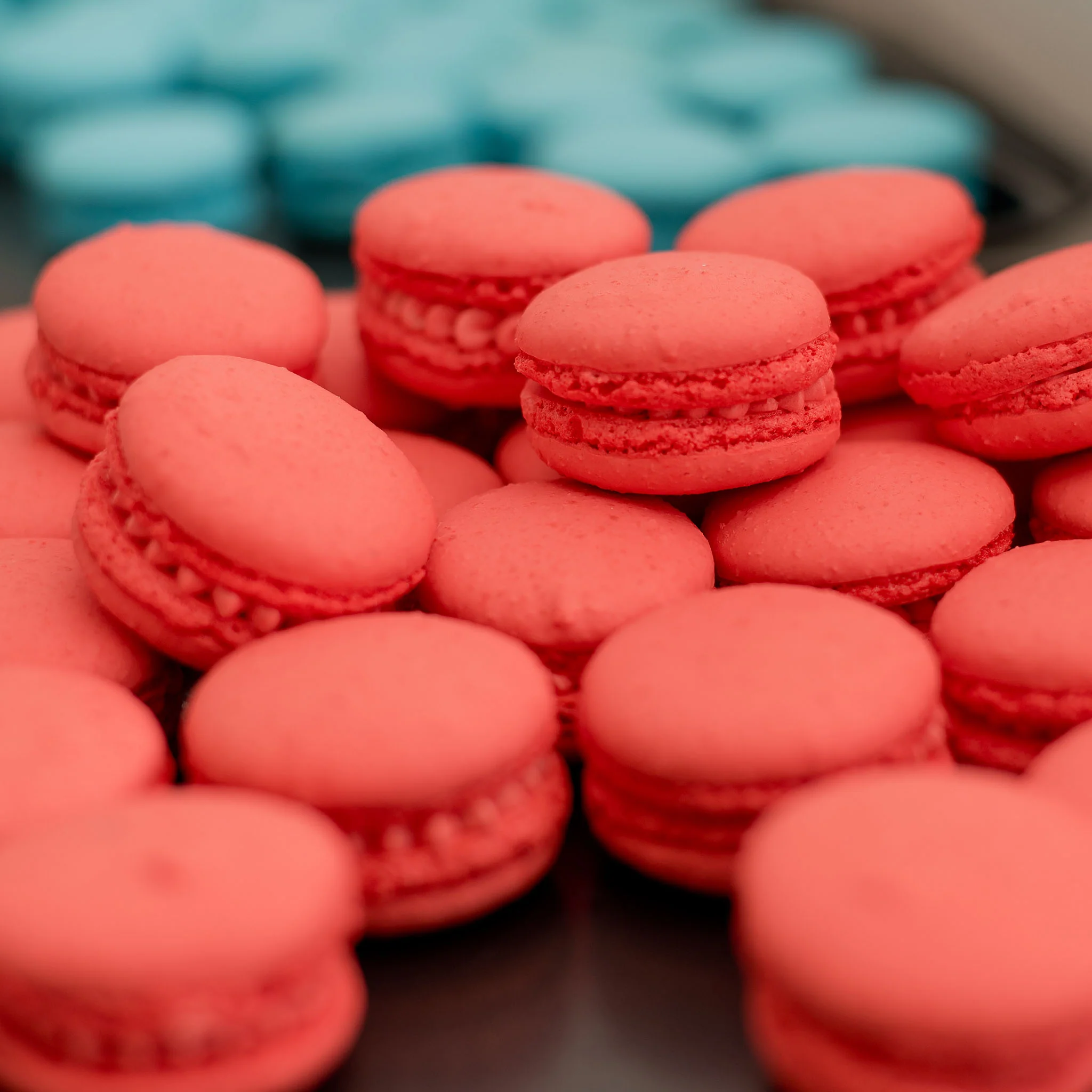 Macarons Gift Packs - Image 5
