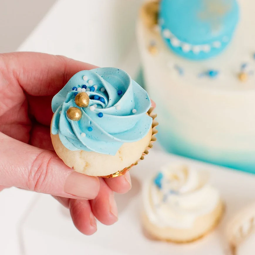 Mini Cupcakes - Matching Avery in Blue