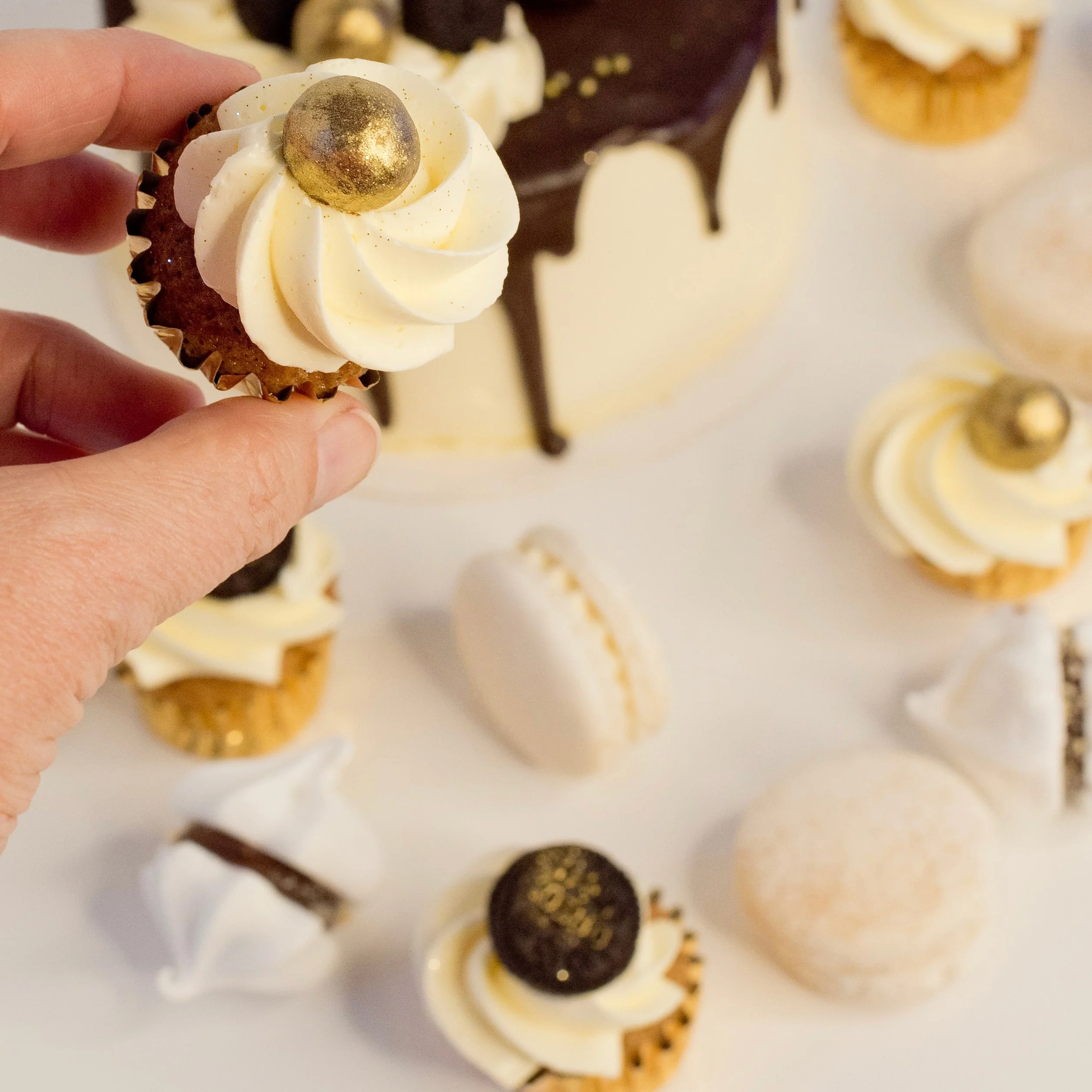 Mini Cupcakes - Matching Jo