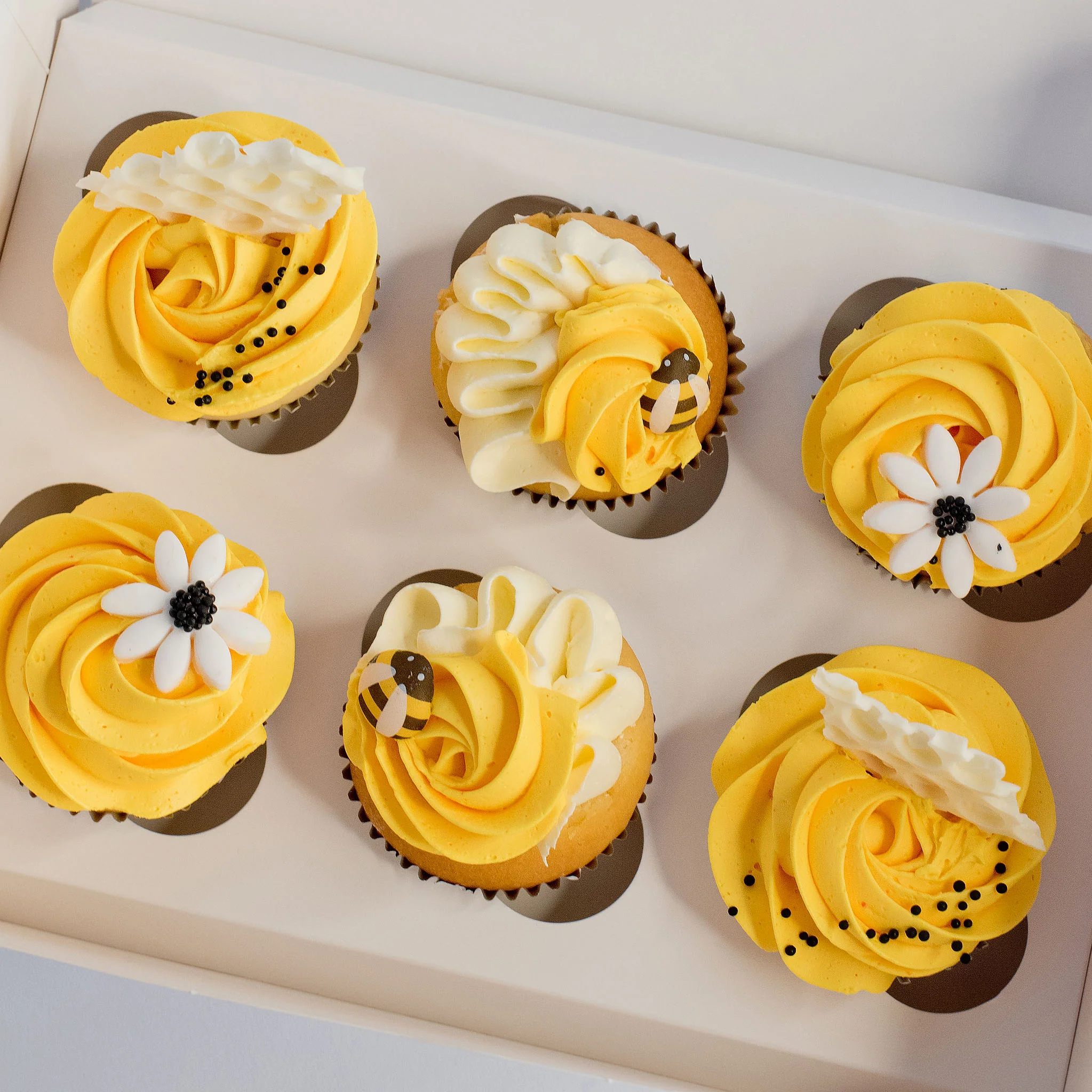 You are my Sunshine- Cupcakes - Image 4
